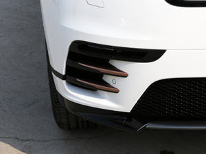 2018P380 R-DYNAMIC SE (x)(ji)^