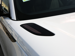 2018P380 R-DYNAMIC SE (x)(ji)^