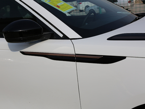 2018P380 R-DYNAMIC SE ^