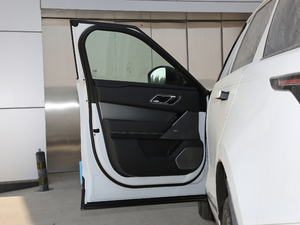 2018P380 R-DYNAMIC SE {λ܇T