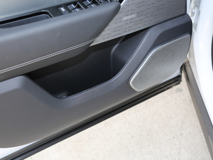 2018P380 R-DYNAMIC SE ǰTg