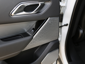 2018P380 R-DYNAMIC SE g