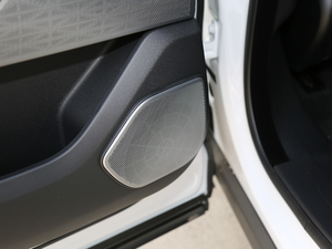 2018P380 R-DYNAMIC SE g