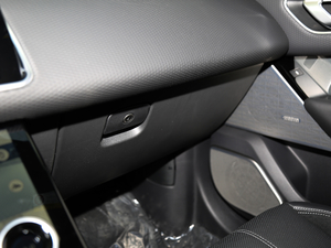 2018P380 R-DYNAMIC SE g