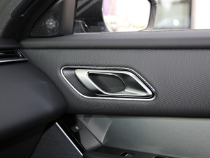 2018P380 R-DYNAMIC SE g