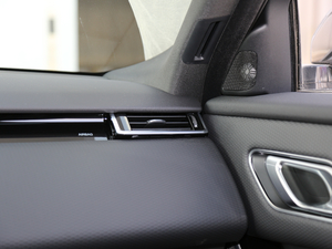 2018P380 R-DYNAMIC SE g