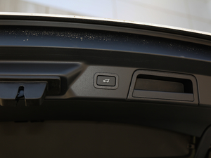 2018P380 R-DYNAMIC SE g