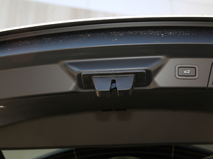 2018P380 R-DYNAMIC SE g