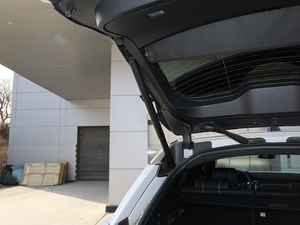 2018P380 R-DYNAMIC SE g