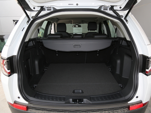 2018P380 R-DYNAMIC SE g