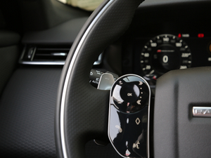 2018P380 R-DYNAMIC SE п؅^