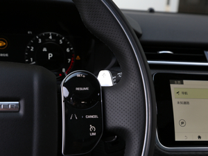 2018P380 R-DYNAMIC SE п؅^