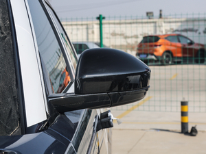 2018P300 S R-DYNAMIC ҕR