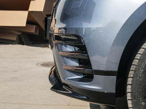 2018P300 S R-DYNAMIC ^