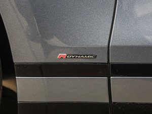 2018P300 S R-DYNAMIC ^