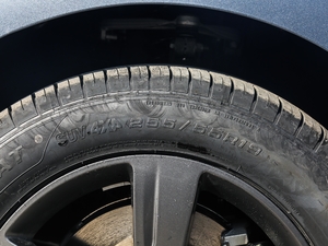 2018P300 S R-DYNAMIC ݆̥ߴ