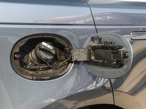 2018P300 S R-DYNAMIC w