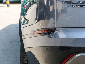 2018P300 S R-DYNAMIC ^