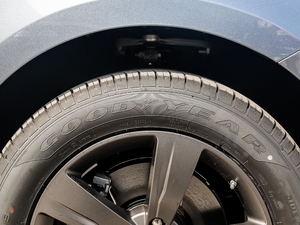 2018P300 S R-DYNAMIC ݆̥Ʒ