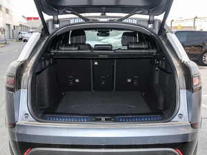 2018P300 S R-DYNAMIC g