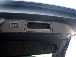 2018P300 S R-DYNAMIC g