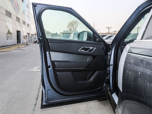 2018P300 S R-DYNAMIC {λ܇T