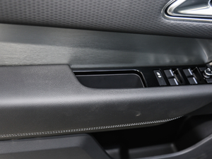 2018P300 S R-DYNAMIC g