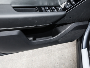 2018P300 S R-DYNAMIC ǰTg