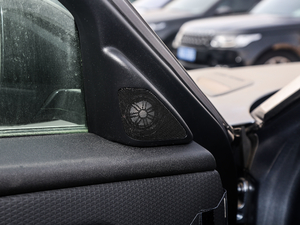 2018P300 S R-DYNAMIC g