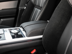 2018P300 S R-DYNAMIC 