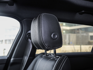 2018P300 S R-DYNAMIC g