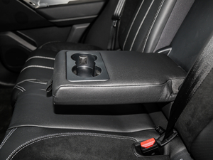 2018P300 S R-DYNAMIC 