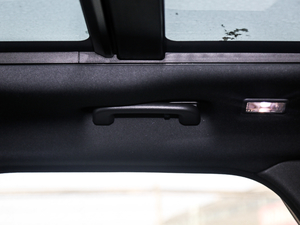 2018P300 S R-DYNAMIC g