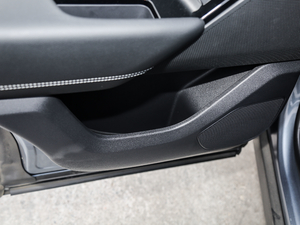 2018P300 S R-DYNAMIC g