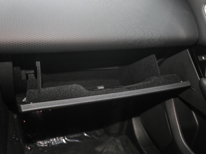 2018P300 S R-DYNAMIC 