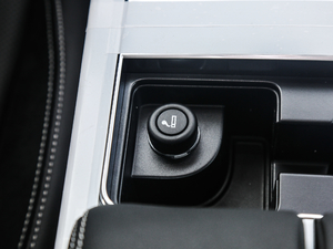 2018P300 S R-DYNAMIC g