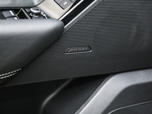 2018P300 S R-DYNAMIC g