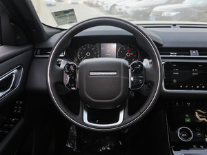 2018P300 S R-DYNAMIC P