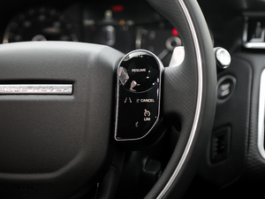 2018P300 S R-DYNAMIC п؅^