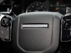 2018P300 S R-DYNAMIC п؅^