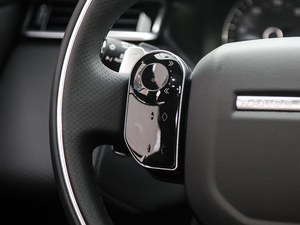 2018P300 S R-DYNAMIC п؅^