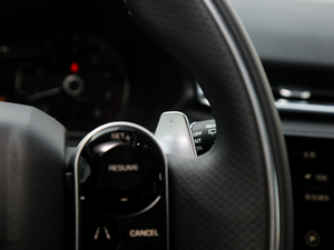 2018P300 S R-DYNAMIC п؅^(q)