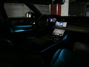 2018P380 R-DYNAMIC HSE g