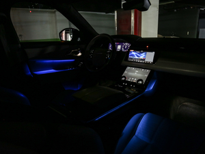 2018P380 R-DYNAMIC HSE g