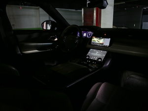 2018P380 R-DYNAMIC HSE g