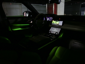 2018P380 R-DYNAMIC HSE g