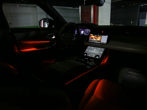 2018P380 R-DYNAMIC HSE g