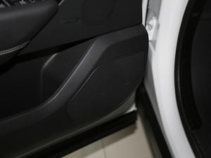 2018P380 R-DYNAMIC HSE g