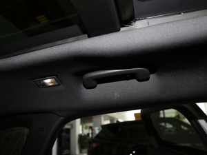 2018P380 R-DYNAMIC HSE g