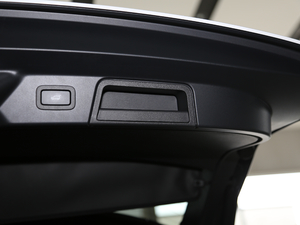 2018P380 R-DYNAMIC HSE g